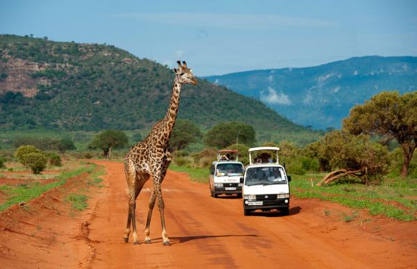 Discover the Magic of Mombasa Safari and Beach Holiday