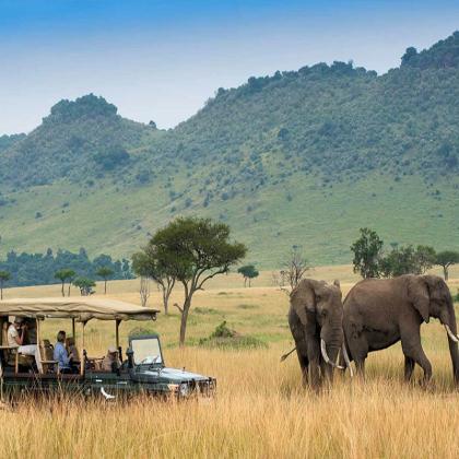 Discover the Ultimate Tanzania Safari Tour Packages