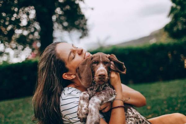 Dog Trainers Charlotte NC