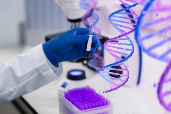 Drug Discovery and Development Services | Medicinal Chemistry and Drug Discovery