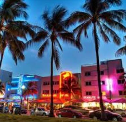 Everything you need to know about Naples Auction House