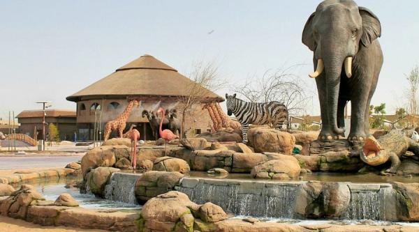 Experience the Best of Wildlife at Dubai Safari Park