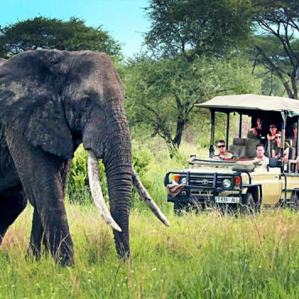 Experience the Ultimate All-Inclusive Safari Holidays