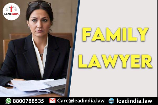 Family Lawyer