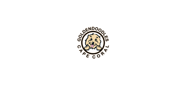 Golden Doodles Cape Corals