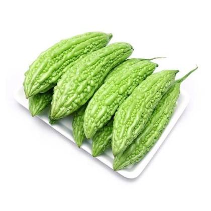 Grow Bitter Melon for a Healthy Garden