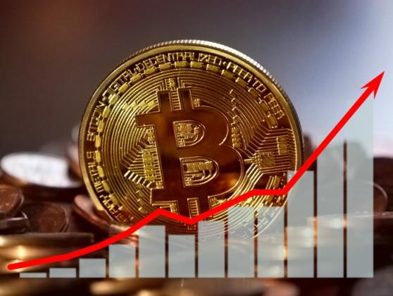 Important Things To Know About Tether USDT