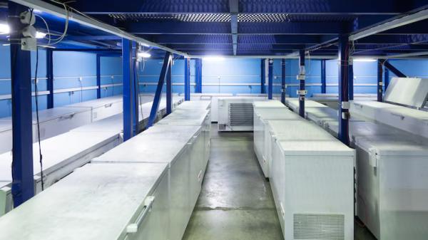 Improve Climate Control with Cutting-Edge Heat Pumps