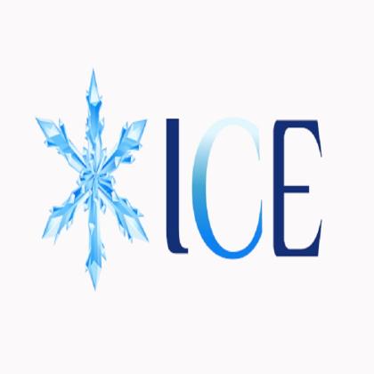International Coaching Education (ICE)