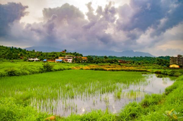 Looking forward to Buy Land In Goa?