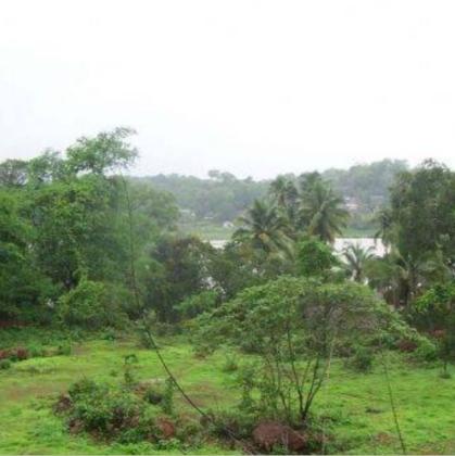 Looking to invest in Goa’s growing market?