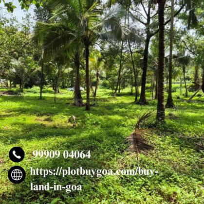 Looking to invest in Goa’s growing market?