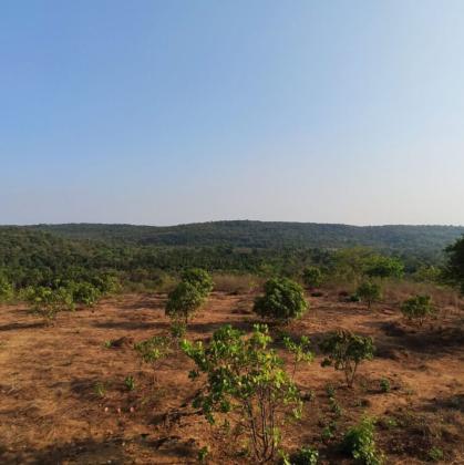 Looking to invest in Goa’s growing market?