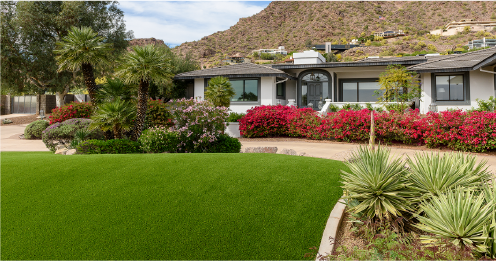 Luxe Lawns