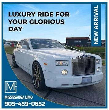 Mississauga Party Bus