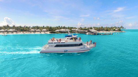 Mombasa Safari and Beach Holidays Package
