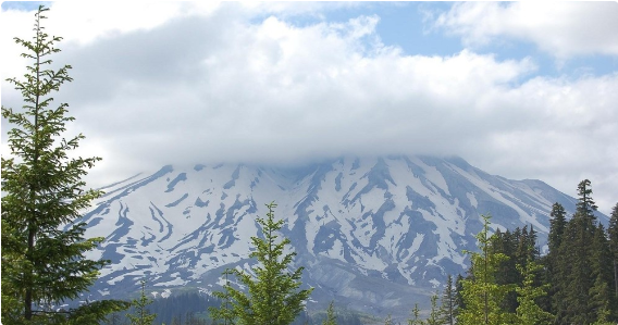 Mount St. Helens guided tours