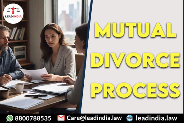 Mutual Divorce Process