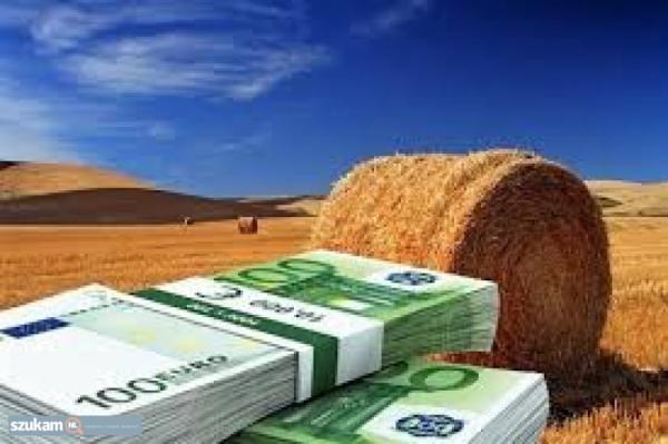 My name is Mrs Aisha Mohamed, am a Citizen Of Qatar.Have you been looking for a loan?Do you need an urgent personal loan or business loan?contact Adam