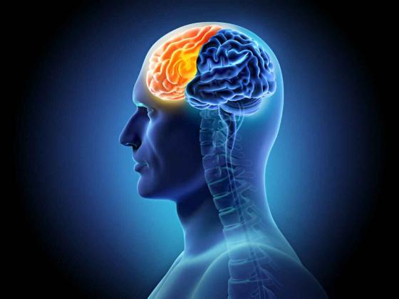 Neuro Rehab Near Me