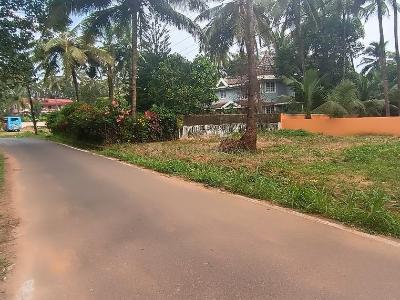 Orchard Land For Sale In Goa is ideal for an agricultural enthusiast