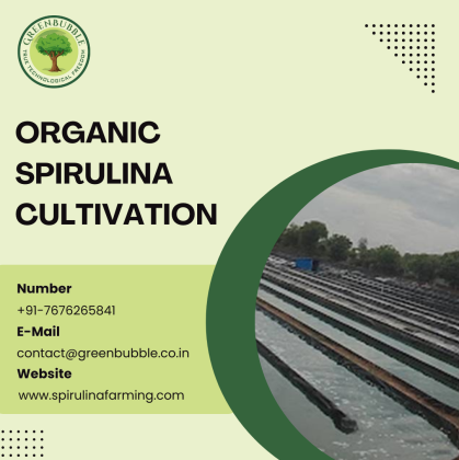 Organic Spirulina Farming | Efficient Spirulina Algae Cultivation