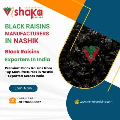 Premium Black Raisins from Top Manufacturers in Nashik – Exported Across India