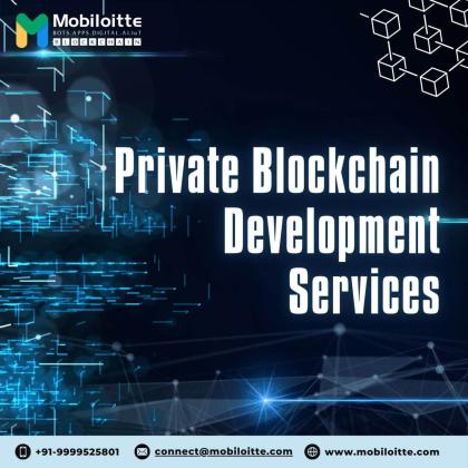 Private Blockchain Development Company- Mobiloitte