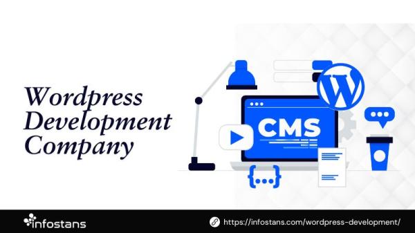 Professional WordPress Development Company