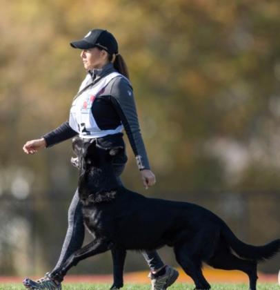 Puppy Training In Jupiter