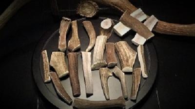 Shop Bulk Antler Dog Chews – Natural & Durable Treats
