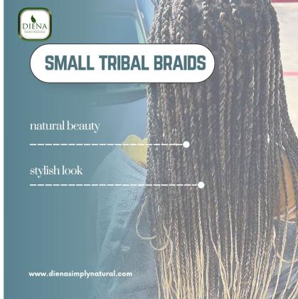 Small Tribal Braids: Elegant, Natural Styles by Diena Simply Natural.