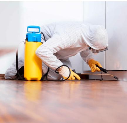 Suncoast Pest Management