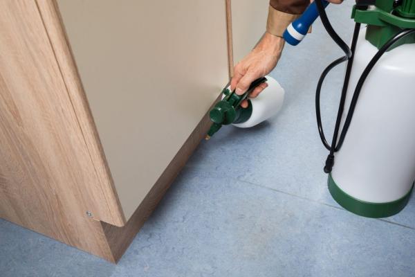 termite control jupiter