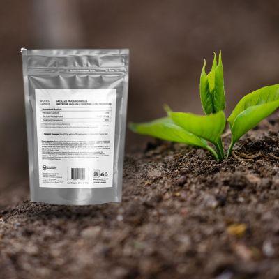 Trusted Bacillus Mucilaginosus Supplier!