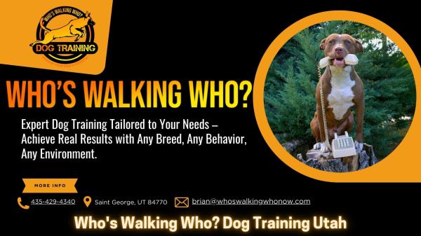 Who's Walking Who? Dog Training Utah