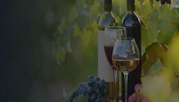 Wine Tasting Driver Napa