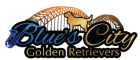 Blues City Golden Retrievers
