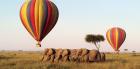 Book Your Dream Mombasa Safari Tour Packages