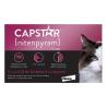 Capstar Flea Treatment for Cats (2-25 lbs) - Special Discount