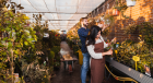 Commercial Greenhouse Design