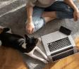Compassionate Veterinary Care at Southern Hills Animal Hospital in Roanoke, VA