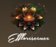 Efflorescence Aesthetic and Cellulite Reduction Spa