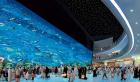 Explore Dubai Mall: Your Ultimate Destination for Shopping & Entertainment