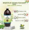 Gokhru Herbal Juice: Your Wellness Routine Essential