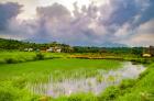 Looking forward to Buy Land In Goa?