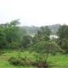 Looking to invest in Goa’s growing market?