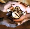Lost Love, how to stop cheating and unsettled Relationship