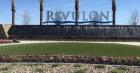 Luxe Lawns