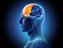 Neuro Rehab Near Me